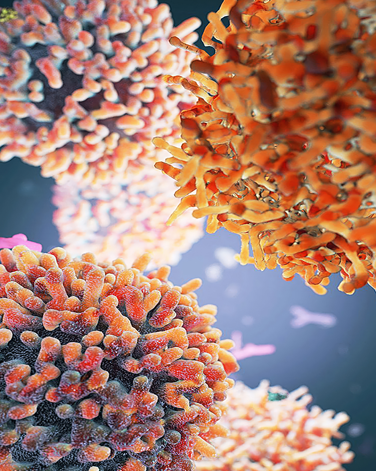Microscopic-worlds-1-plex