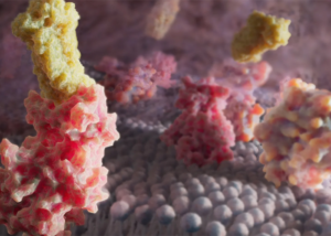 digital fine art inspired by cellular biology