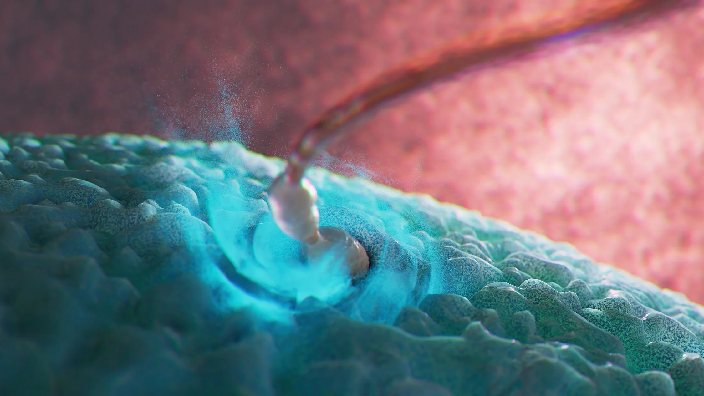 Conception