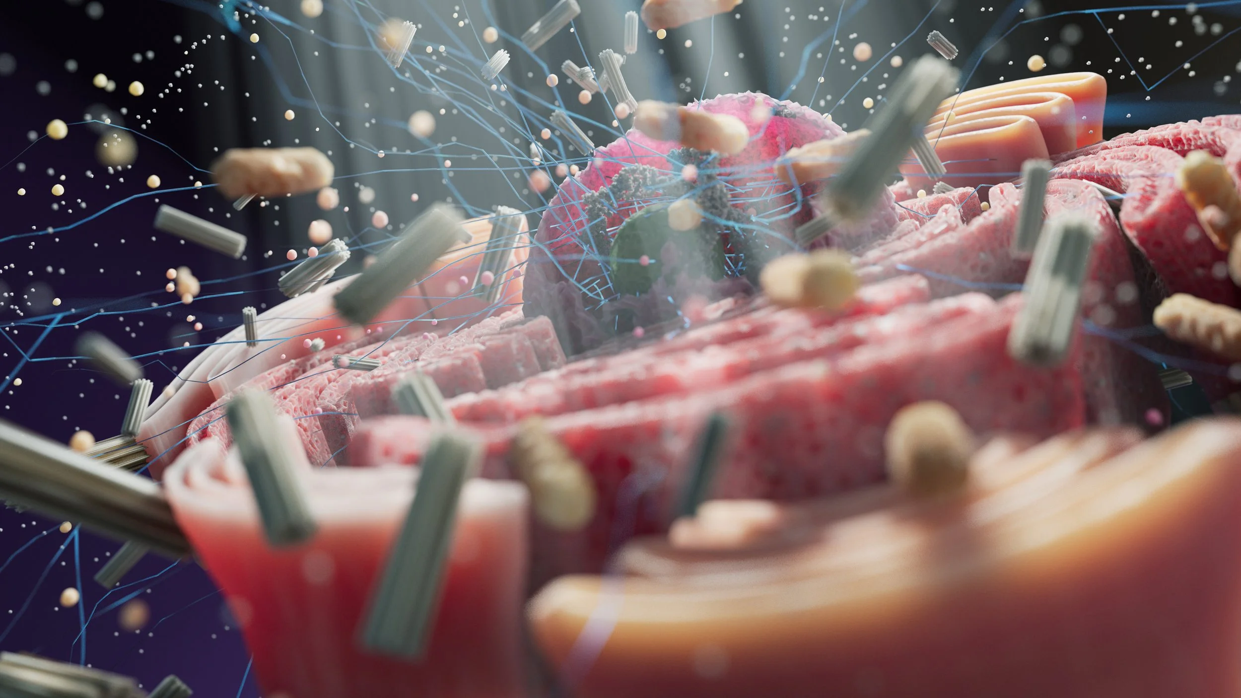 MicroForm Gallery