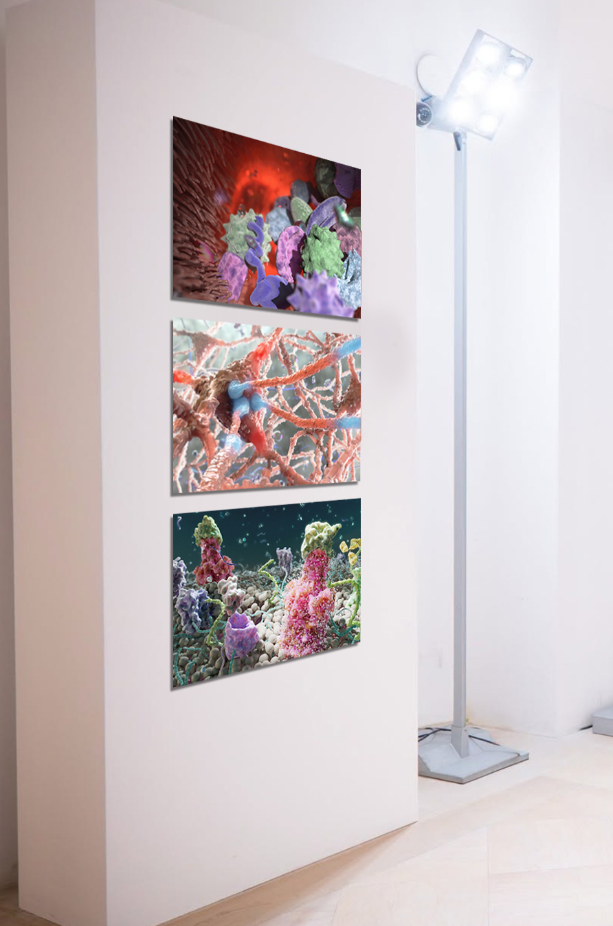 SENSES_INTERNATIONAL_ART_FAIR