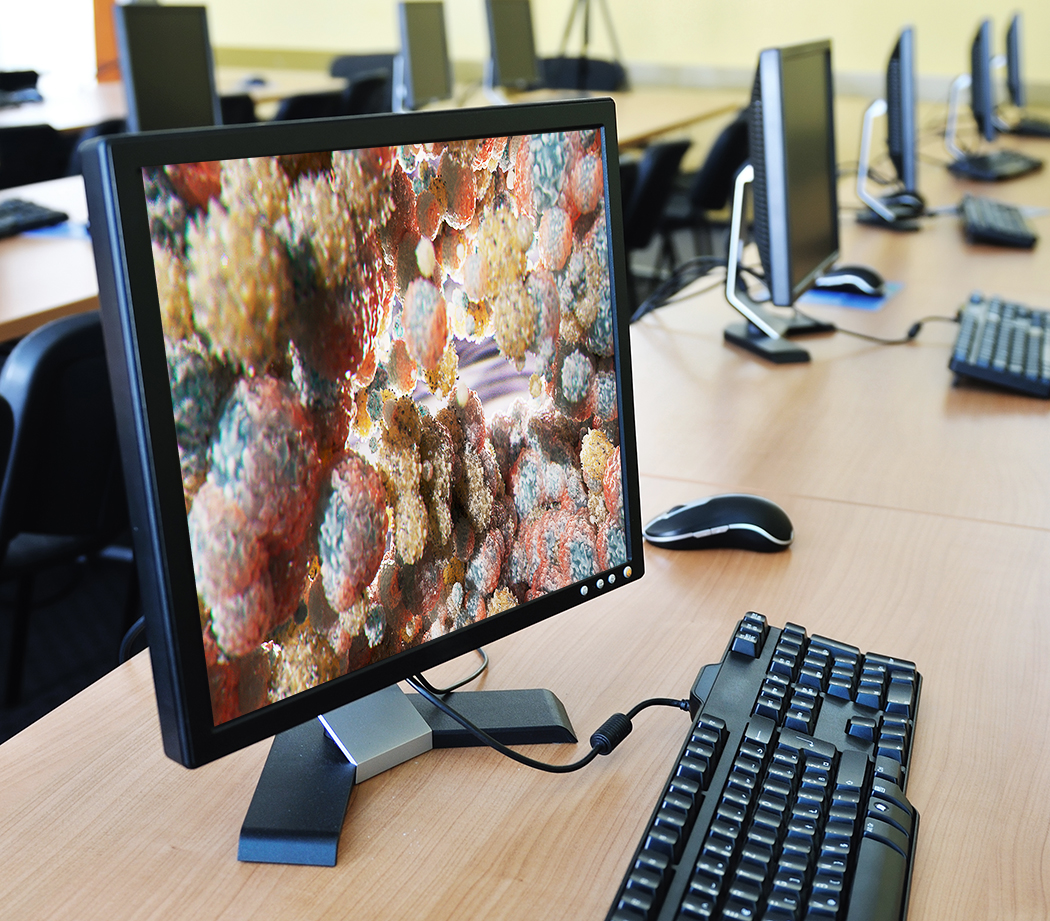 classroom computer