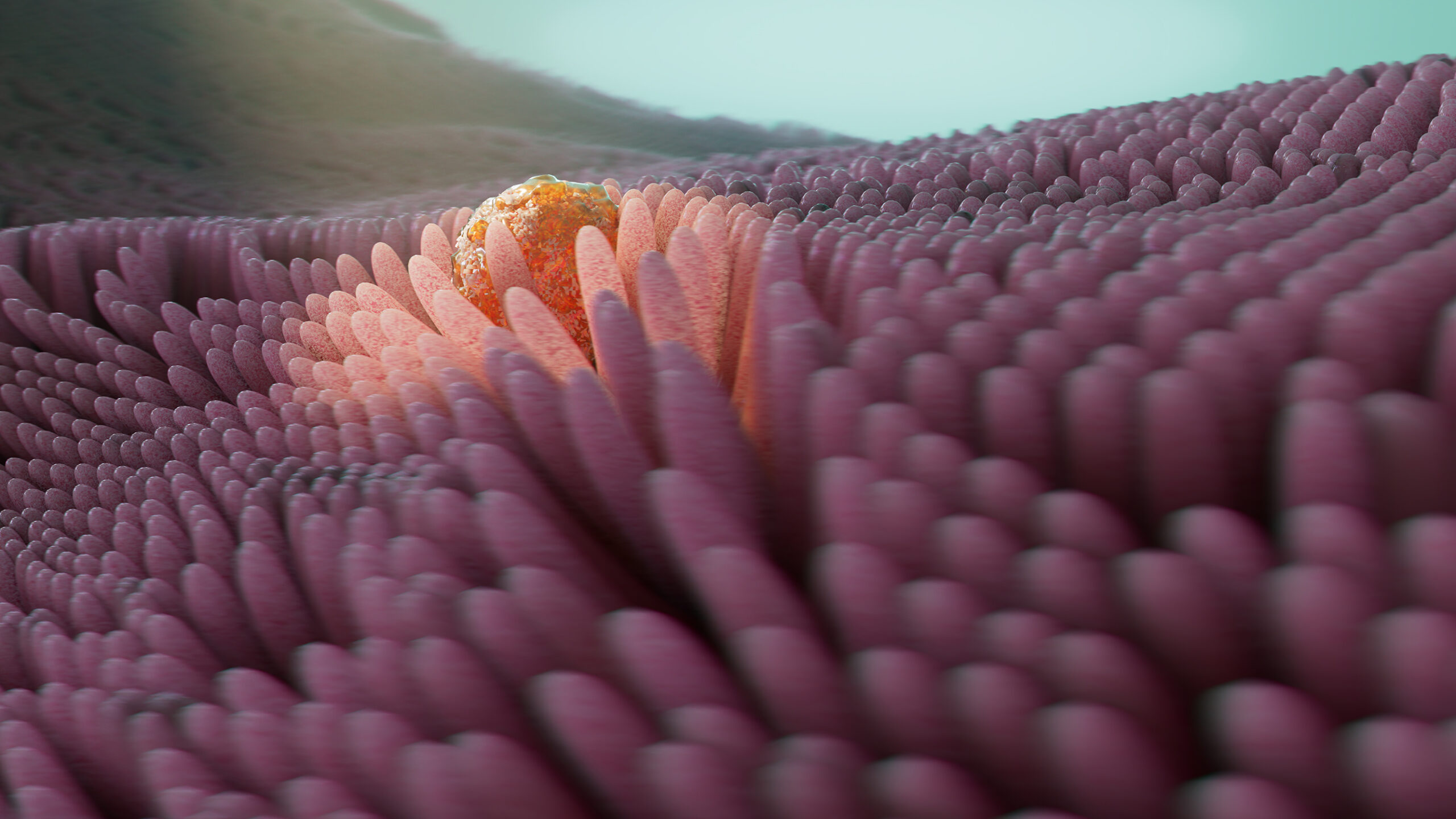 Before-The-Threshold-of-Genesis
