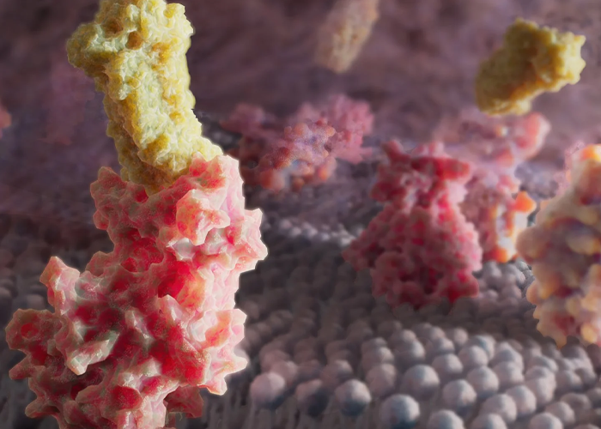 Why Biological Abstraction Art Goes Beyond Scientific Illustration